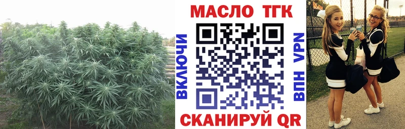 Купить закладки  Великий Устюг  Дистиллят ТГК THC oil 